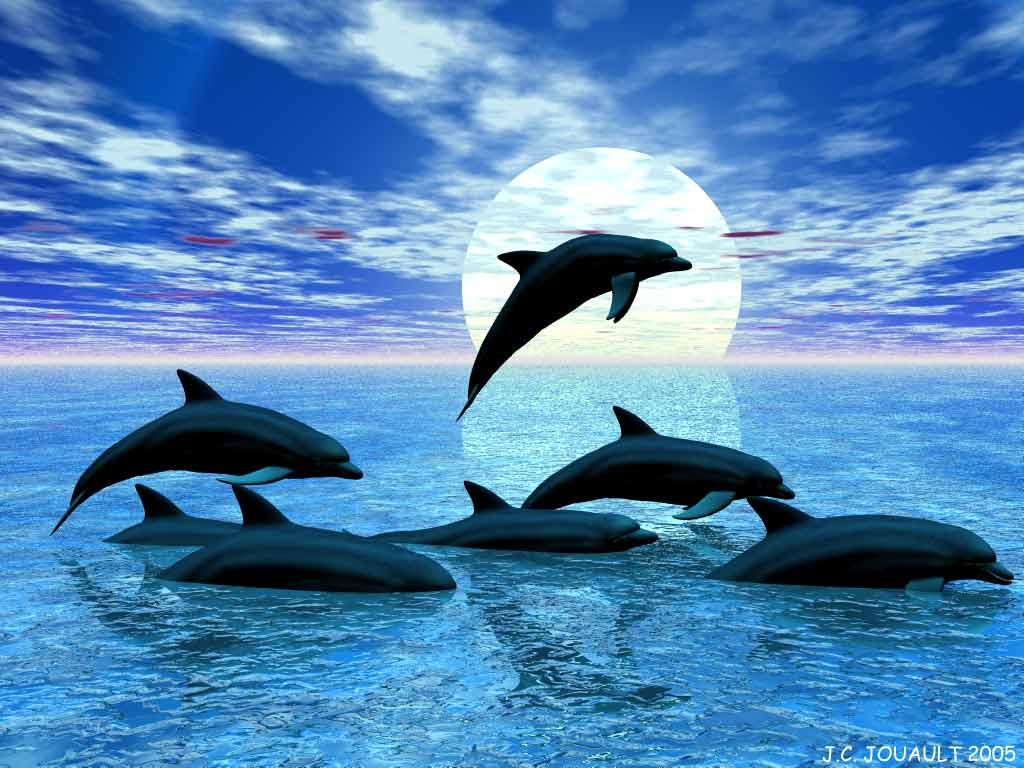 Dauphins